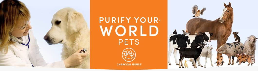 Animals: Activated Charcoal For Animal Needs