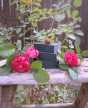Truly Rose Activated Charcoal Soap - By Donna