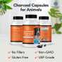 Activated Charcoal Capsules for Animals - Digestive Aid for Pets