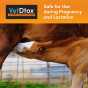 VetDtox™ Powder