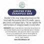 Activated Charcoal Juniper Pine Shampoo Bar