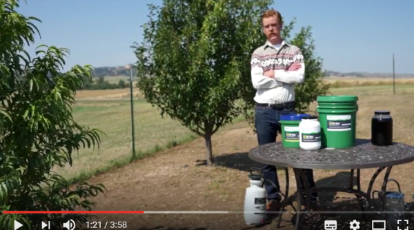 Video: Activated Charcoal for Soil Detox