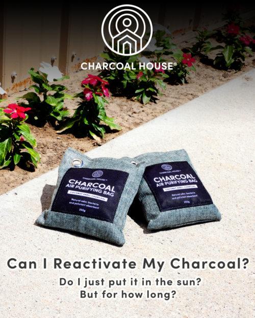 Can I Reactivate My Charcoal? Do I just put it in the sun, but for how long?