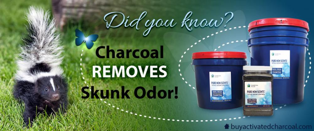 Did you know charcoal removes skunk odor?