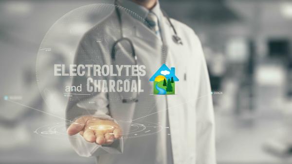 Does Charcoal Adsorb Electrolytes?