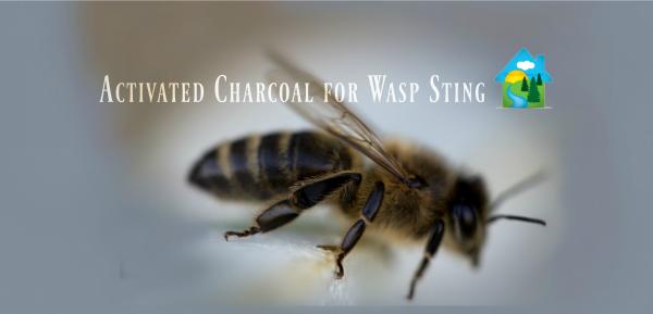 Charcoal Salve Stick for Wasp Sting in 7 month old