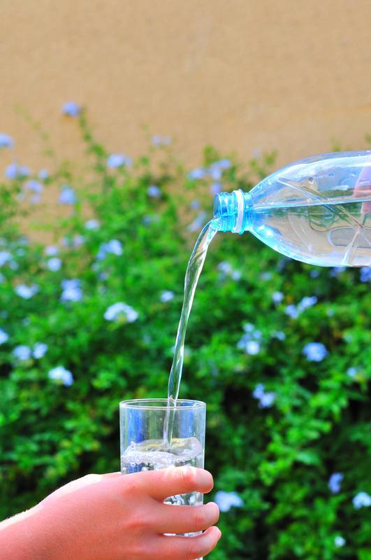 Charcoal purifies water