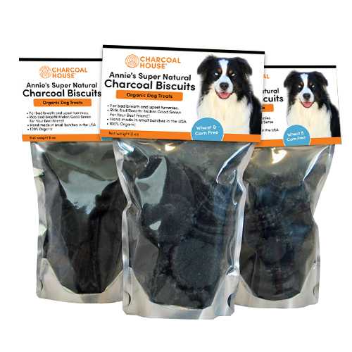 cardboard scratching post diy